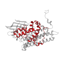 The deposited structure of PDB entry 2ix6 contains 6 copies of CATH domain 1.10.540.10 (Butyryl-Coa Dehydrogenase, subunit A; domain 1) in Acyl-coenzyme A oxidase 4, peroxisomal. Showing 1 copy in chain A.