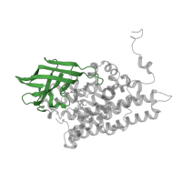 The deposited structure of PDB entry 2ix6 contains 6 copies of CATH domain 2.40.110.10 (Butyryl-CoA Dehydrogenase, subunit A; domain 2) in Acyl-coenzyme A oxidase 4, peroxisomal. Showing 1 copy in chain A.