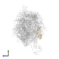 Large ribosomal subunit protein uL2 in PDB entry 2j28, assembly 1, side view.