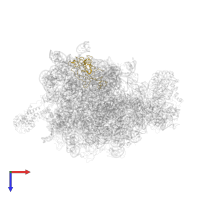 Large ribosomal subunit protein uL2 in PDB entry 2j28, assembly 1, top view.