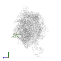Large ribosomal subunit protein uL4 in PDB entry 2j28, assembly 1, side view.