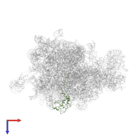 Large ribosomal subunit protein uL4 in PDB entry 2j28, assembly 1, top view.