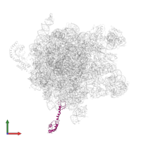 Large ribosomal subunit protein bL9 in PDB entry 2j28, assembly 1, front view.
