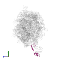 Large ribosomal subunit protein bL9 in PDB entry 2j28, assembly 1, side view.