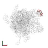 Large ribosomal subunit protein uL11 in PDB entry 2j28, assembly 1, front view.