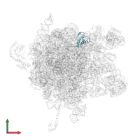 Large ribosomal subunit protein uL13 in PDB entry 2j28, assembly 1, front view.