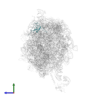 Large ribosomal subunit protein uL13 in PDB entry 2j28, assembly 1, side view.