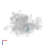 Large ribosomal subunit protein uL13 in PDB entry 2j28, assembly 1, top view.