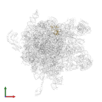 Large ribosomal subunit protein uL14 in PDB entry 2j28, assembly 1, front view.