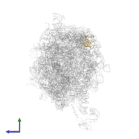 Large ribosomal subunit protein uL14 in PDB entry 2j28, assembly 1, side view.