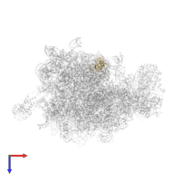 Large ribosomal subunit protein uL14 in PDB entry 2j28, assembly 1, top view.