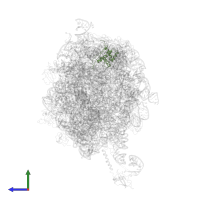 Large ribosomal subunit protein bL17 in PDB entry 2j28, assembly 1, side view.