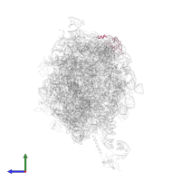 Large ribosomal subunit protein bL19 in PDB entry 2j28, assembly 1, side view.