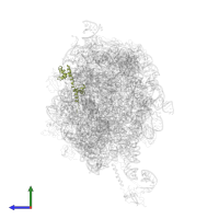 Large ribosomal subunit protein bL20 in PDB entry 2j28, assembly 1, side view.