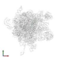 Large ribosomal subunit protein bL21 in PDB entry 2j28, assembly 1, front view.