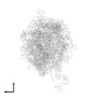 Large ribosomal subunit protein bL21 in PDB entry 2j28, assembly 1, side view.