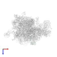 Large ribosomal subunit protein bL21 in PDB entry 2j28, assembly 1, top view.