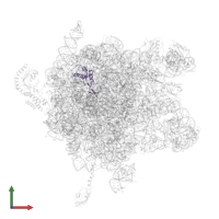Large ribosomal subunit protein uL22 in PDB entry 2j28, assembly 1, front view.