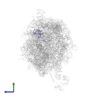 Large ribosomal subunit protein uL22 in PDB entry 2j28, assembly 1, side view.