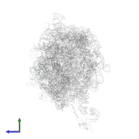 Large ribosomal subunit protein uL24 in PDB entry 2j28, assembly 1, side view.