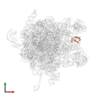 Large ribosomal subunit protein bL25 in PDB entry 2j28, assembly 1, front view.