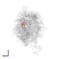 Large ribosomal subunit protein bL25 in PDB entry 2j28, assembly 1, side view.