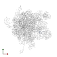 Large ribosomal subunit protein bL27 in PDB entry 2j28, assembly 1, front view.
