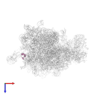 Large ribosomal subunit protein uL29 in PDB entry 2j28, assembly 1, top view.
