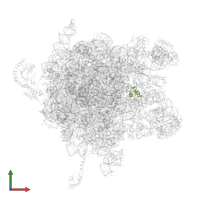 Large ribosomal subunit protein uL30 in PDB entry 2j28, assembly 1, front view.