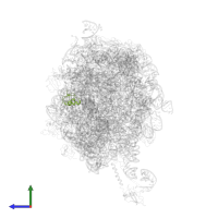 Large ribosomal subunit protein uL30 in PDB entry 2j28, assembly 1, side view.