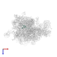 Large ribosomal subunit protein bL31 in PDB entry 2j28, assembly 1, top view.