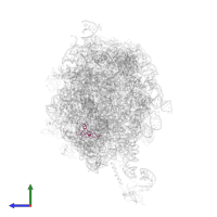 Large ribosomal subunit protein bL35 in PDB entry 2j28, assembly 1, side view.