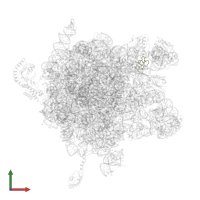 Large ribosomal subunit protein bL36A in PDB entry 2j28, assembly 1, front view.