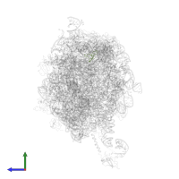 Large ribosomal subunit protein bL36A in PDB entry 2j28, assembly 1, side view.