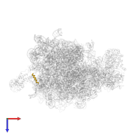 Rhodopsin in PDB entry 2j28, assembly 1, top view.