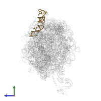 4.5S SIGNAL RECOGNITION PARTICLE RNA in PDB entry 2j28, assembly 1, side view.