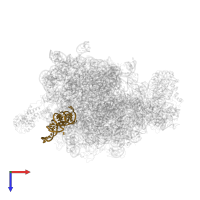 4.5S SIGNAL RECOGNITION PARTICLE RNA in PDB entry 2j28, assembly 1, top view.