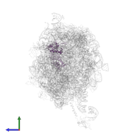 Signal recognition particle protein in PDB entry 2j28, assembly 1, side view.
