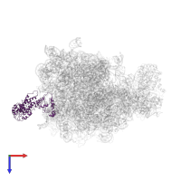 Signal recognition particle protein in PDB entry 2j28, assembly 1, top view.