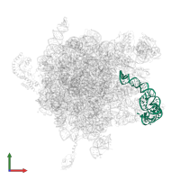 5S ribosomal RNA in PDB entry 2j28, assembly 1, front view.