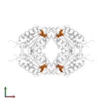 ACE-ASP-GLU-VAL-ASP-CHLOROMETHYLKETONE INHIBITOR in PDB entry 2j33, assembly 1, front view.