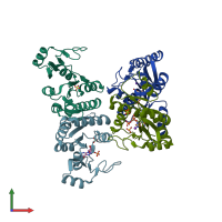 PDB entry 2j41 coloured by chain, front view.
