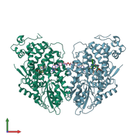 PDB entry 2j4d coloured by chain, front view.