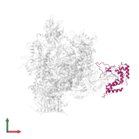 DNA-directed RNA polymerase II subunit RPB4 in PDB entry 2ja8, assembly 1, front view.