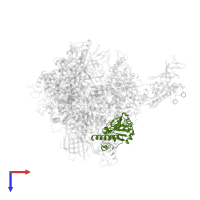 DNA-directed RNA polymerases I, II, and III subunit RPABC1 in PDB entry 2ja8, assembly 1, top view.