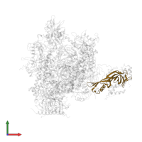 DNA-directed RNA polymerase II subunit RPB7 in PDB entry 2ja8, assembly 1, front view.