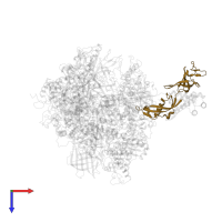 DNA-directed RNA polymerase II subunit RPB7 in PDB entry 2ja8, assembly 1, top view.