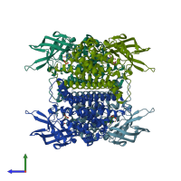 PDB entry 2jbs coloured by chain, side view.