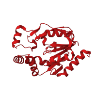 The deposited structure of PDB entry 2jeo contains 1 copy of CATH domain 3.40.50.300 (Rossmann fold) in Uridine-cytidine kinase 1. Showing 1 copy in chain A.