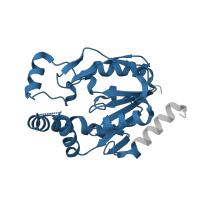 The deposited structure of PDB entry 2jeo contains 1 copy of Pfam domain PF00485 (Phosphoribulokinase / Uridine kinase family) in Uridine-cytidine kinase 1. Showing 1 copy in chain A.
